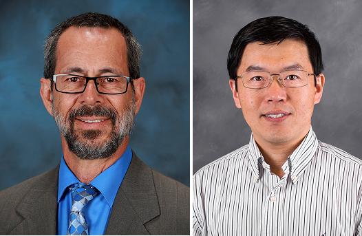 Bryan Chakoumakos and Xiaoping Wang