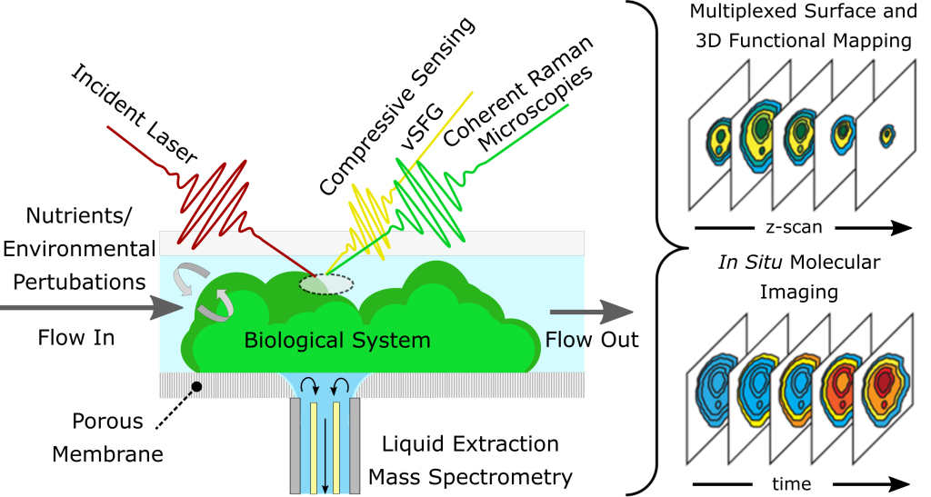 Multimodal Imaging System