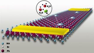 Revealing Environment Impacts on Organometal Halide Perovskites (OMHPs) Charge Transport