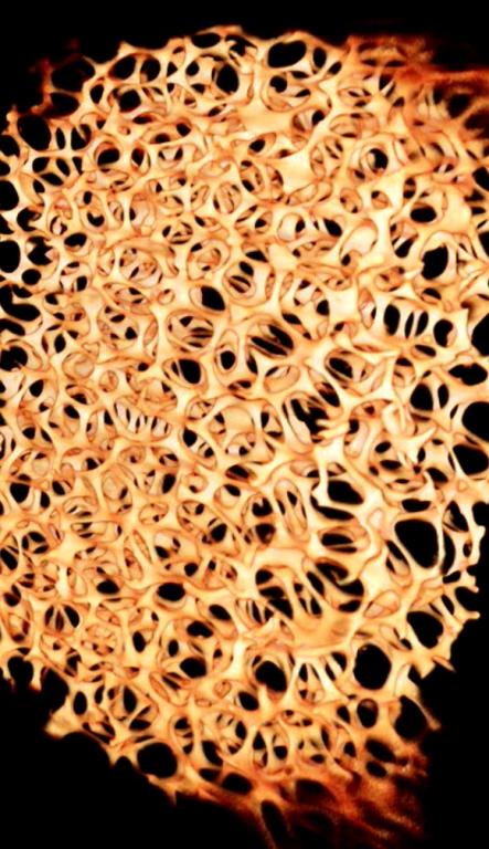 Researchers at Oak Ridge National Laboratory demonstrated that metal foam enhances the evaporation process in thermal conversion systems and enables the development of compact heating, ventilation and refrigeration, or HVAC&R, units.