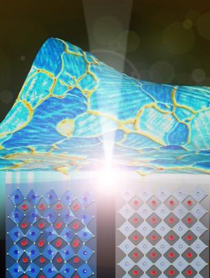 Light-Ferroic Interactions in High-Performance Photovoltaic Materials
