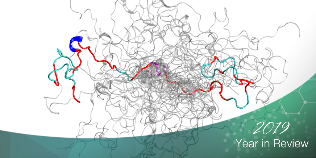  The configurational ensemble (a collection of 3D structures) of an intrinsically disordered protein, the N-terminal of c-Src kinase, which is a major signaling protein in humans. 