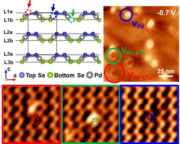 Charging and Imaging Defects On and In PdSe2