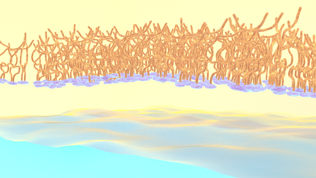 Polymers self-assemble into monolayers at an oil-water interface