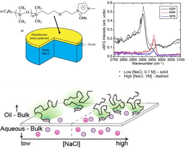 Learning the "Design Rules" for Biomimetic Polymer Membrane Assembly
