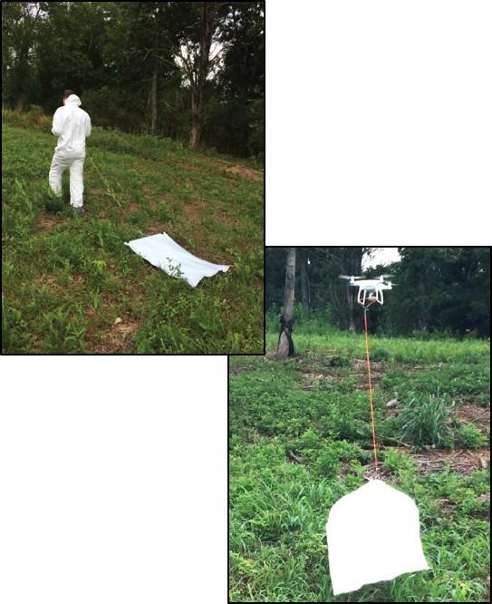Tick Dragging Using a Drone