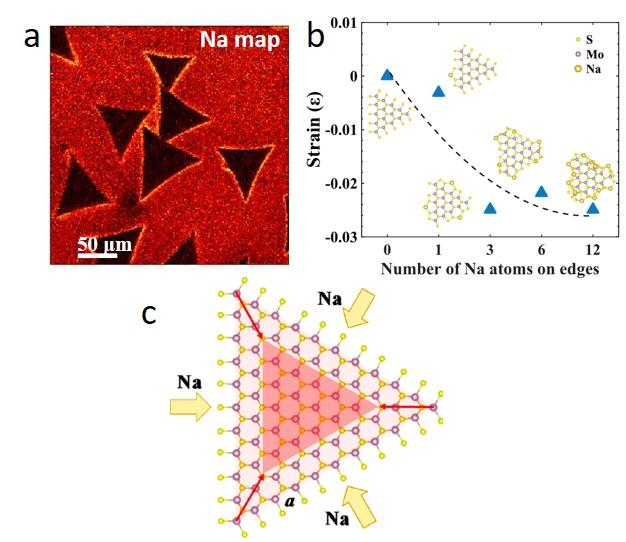 Surfactant-Mediated Growth and Patterning of 2D Materials