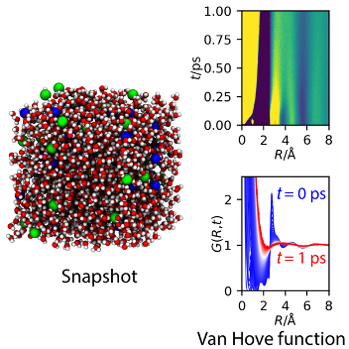 snapshot of electrolyte structure