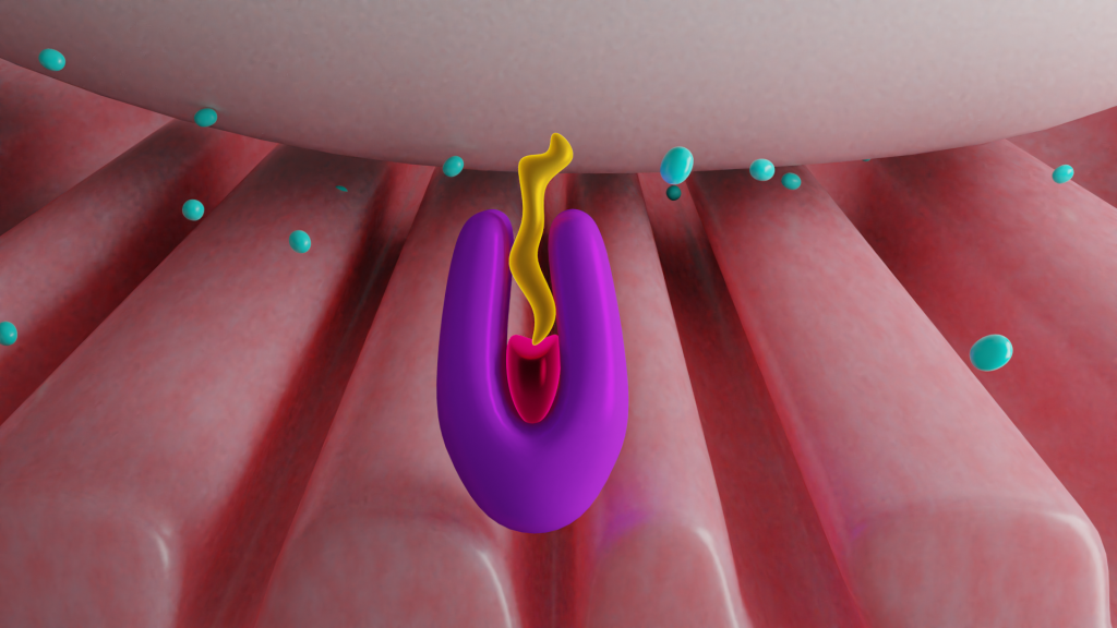 Enzyme activity during organophosphate poisoning