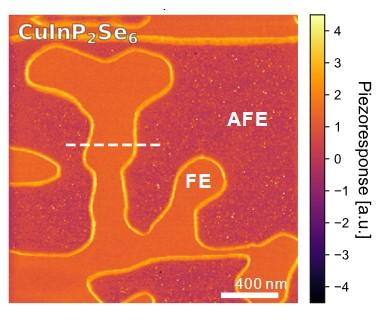 New Functional Topological Defect Discovered