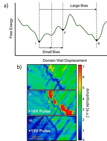 Automated Experiment Discovers Novel, Highly Responsive Domain Structure in Ferroelectrics