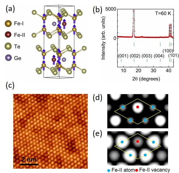 Interlayer Magnetism in Fe3-xGeTe2