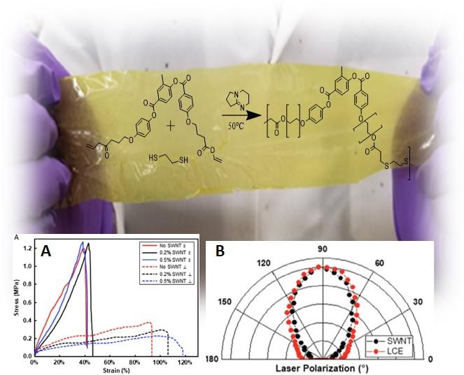 Carbon Nanotubes Provide “Muscle” to Polymers