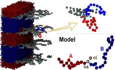 Ionic Junctions Enable Delicate Control over Microphase Domain Features in Diblock Copolymers