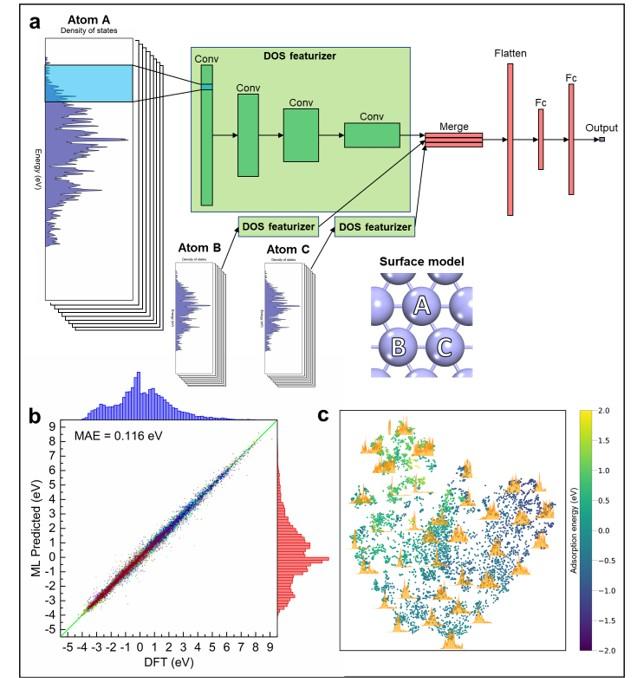 Predicting Accurate Adsorption Energies for Rational Catalytic Design via  Machine Learning