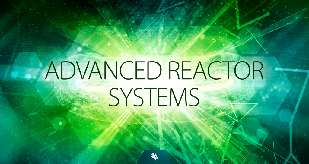 Advanced Reactor Systems