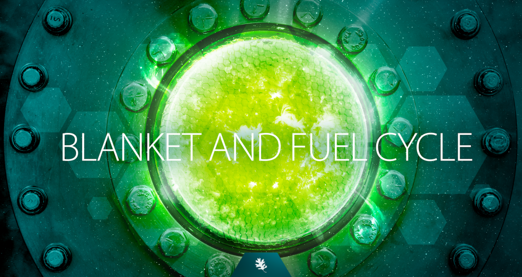 Blanket and fuel cycle