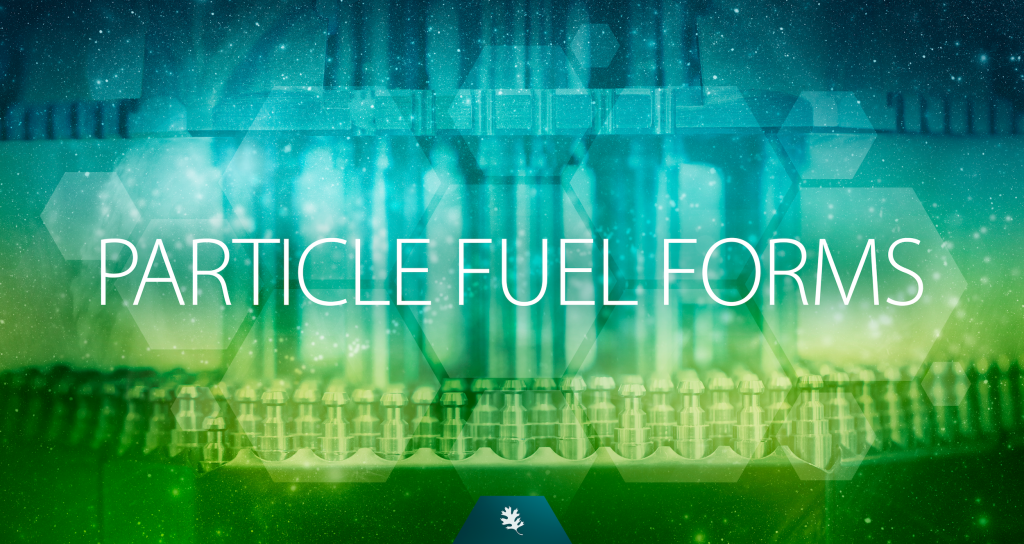 Particle fuel forms