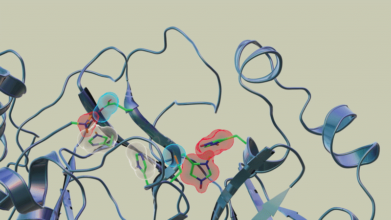 Neutron scattering experiments show that when telaprevir binds to the protease, the amino acid sites will change their electric charges by altering their protonation states. Credit: Jill Hemman and Michelle Lehman/ORNL, U.S. Dept. of Energy