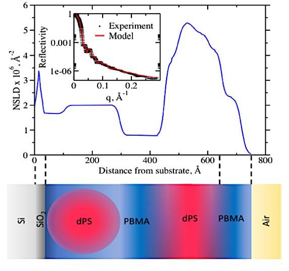 Dispersity Enables Tuning Co-existing Morphologies in Thin Films of Block Copolymers