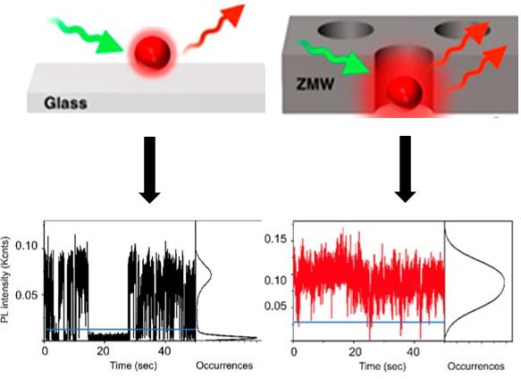 Photoluminescence Enhancement of Single Quantum Dots in Zero Mode Waveguides