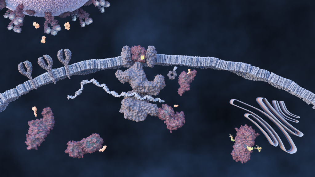 A multi-national laboratory team is using artificial intelligence and computational screening techniques – in combination with experimental validation – to identify and design five promising drug therapy approaches to target the SARS-CoV-2 virus. Credit: Michelle Lehman/ORNL, U.S. Dept. of Energy