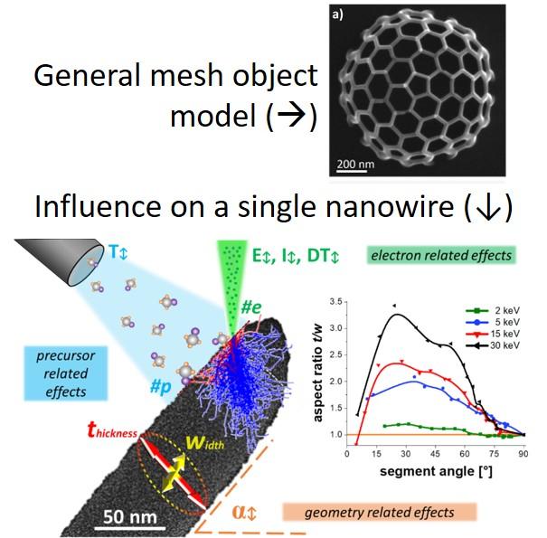 Shape Evolution and Growth Mechanisms of 3D-printed Nanowires