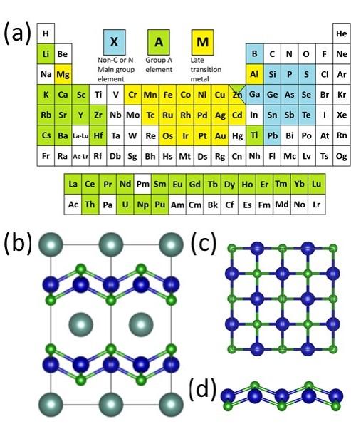 XMenes: A New Family of 2D Materials for Enhanced Energy Conversion, Storage, and Superconductivity
