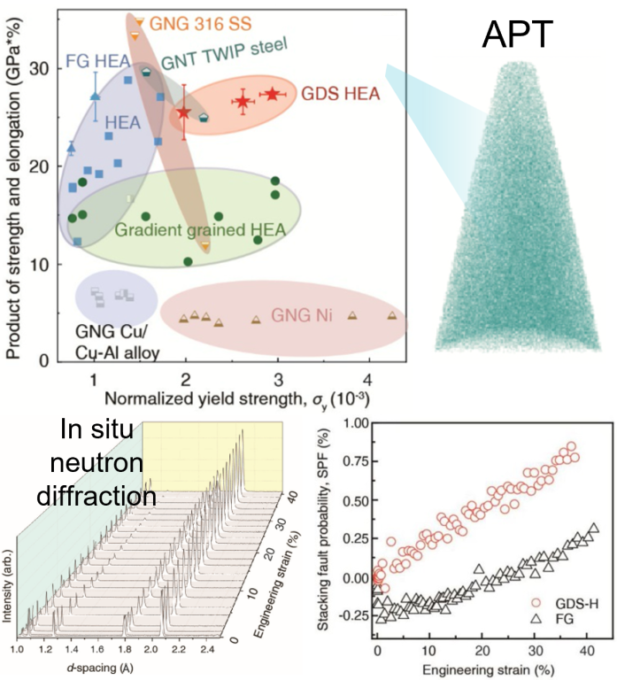 Gradient Cell Structured High-Entropy Alloy Exhibits Exceptional Strength and Ductility
