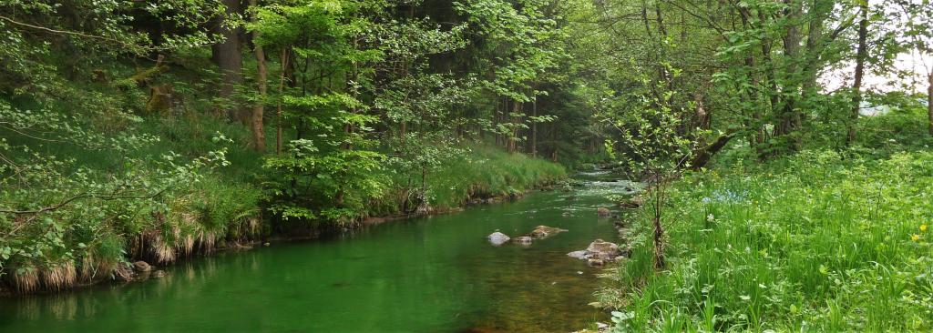 Tracer test, Kalte Bode River, Germany