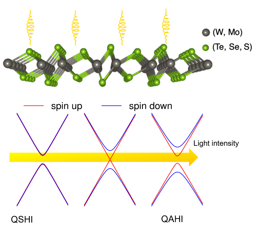 Shining Light on the Topology of 1T’ Transition Metal Dichalcogenides
