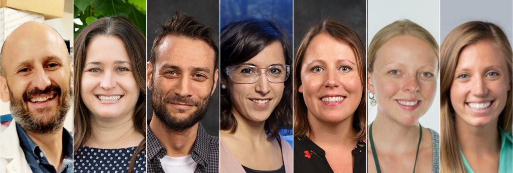 Participants in the Center for Bioenergy Innovation’s Early Career Development program at ORNL are, from left, Jaime Barros, Melissa Cregger, David Kainer, Davinia Salvachua, Breeanna Urbanowicz, Liz Ware and Allison Werner. The program offers a unique opportunity for early career scientists to conduct groundbreaking research and learn what it takes to manage a large collaborative science center. Credit: CBI mentees and ORNL/U.S. Dept. of Energy.