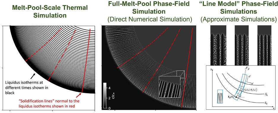 Dendrite-resolved, full-melt-pool phase-field simulations to reveal non-steady-state effects and to test an approximate model CSED Computational Sciences and Engineering ORNL