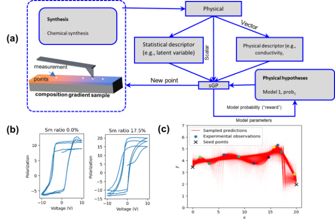 Hypothesis Learning in Automated Experiment: Application to Combinatorial Materials Libraries