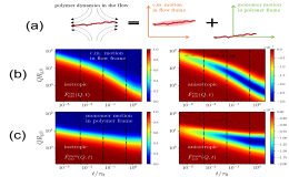 Fingerprinting Polymer Brownian Motions under Flow