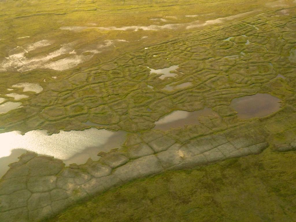 Polygonal-shaped lands are typical in the Barrow Environmental Observatory near Utqiaġvik, Alaska. ORNL scientists are exploring the importance of the iron cycle on emissions of greenhouse gas from these hydrologically dynamic lands as the permafrost thaws. Credit: David Graham/ORNL, U.S. Dept. of Energy