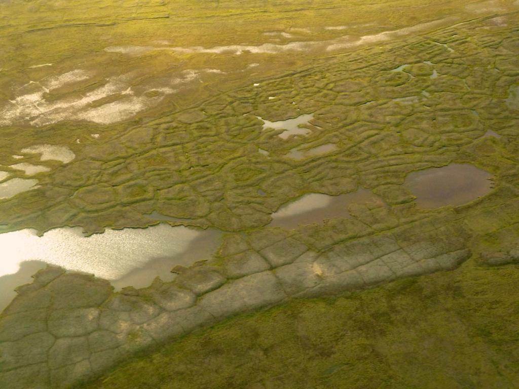 Polygonal-shaped lands are typical in the Barrow Environmental Observatory near Utqiaġvik, Alaska. ORNL scientists are exploring the importance of the iron cycle on emissions of greenhouse gas from these hydrologically dynamic lands as the permafrost thaws. Credit: David Graham/ORNL, U.S. Dept. of Energy 