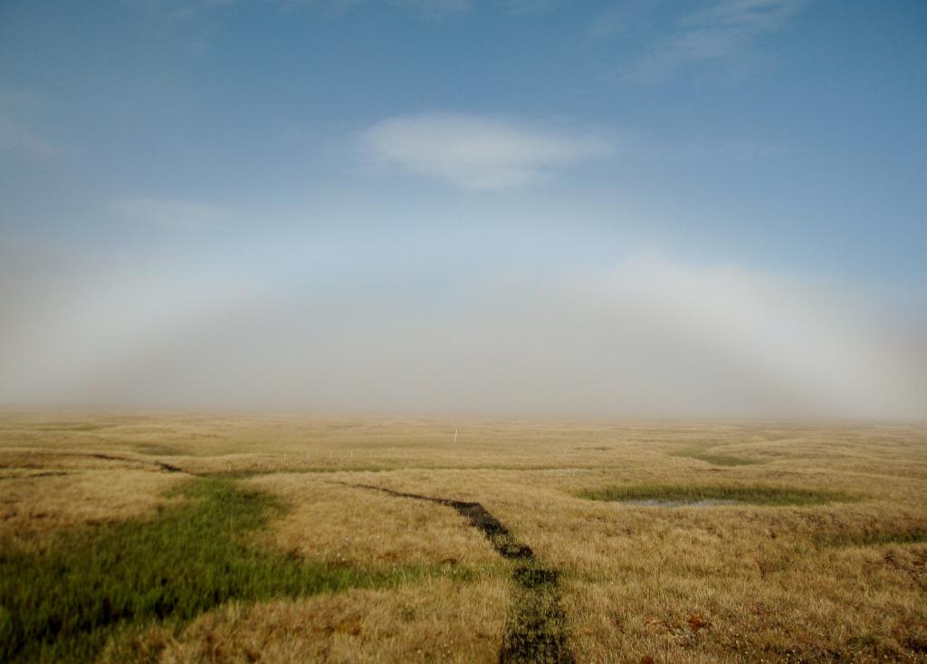 A view from the Barrow Environmental Observatory overlook near Utqiagvik, Alaska, shows where ORNL scientists conduct field measurements to enable complex simulations of the Arctic permafrost. More than half of global terrestrial carbon is estimated to be stored in the permafrost’s soil organic matter. Credit: Elizabeth Herndon/ORNL, U.S. Dept. of Energy