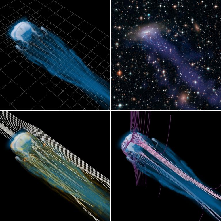 AthenaPK (with the Parthenon framework) created this simulation of a cold, dense cloud of plasma hit by a diffuse, hot, supersonic wind. At top left, cloud density overlaid with the simulation mesh that is finer around the cloud. At bottom left, streamlines of the wind, shown in white, with areas of strong vorticity, in orange, lead to turbulence in the wake. At bottom right, magnetic field lines drape around the cloud, shielding it from the wind. And at top right is the observation of the jellyfish galaxy 