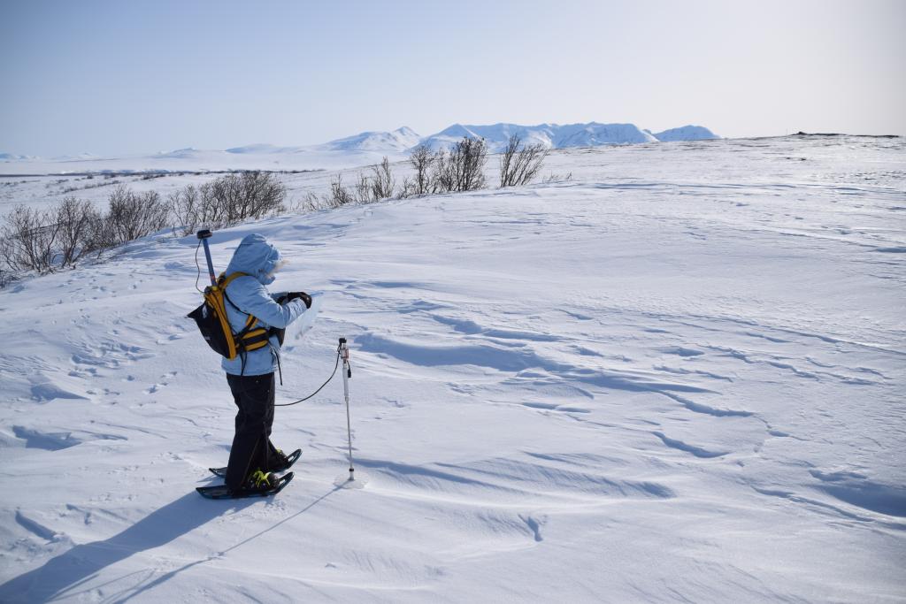 Researcher takes measurements in the snowy landscape of Alaskan tundra