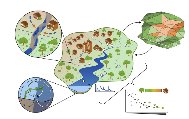 Conceptualization of 9-year research foci needed to support transferable understanding of watershed hydro-biogeochemical function within and across stream networks that drain heterogeneous land covers: non-perennial dynamics, contributions to stream metabolism, network-scale emergent behaviors, and responses to hydrologic events.