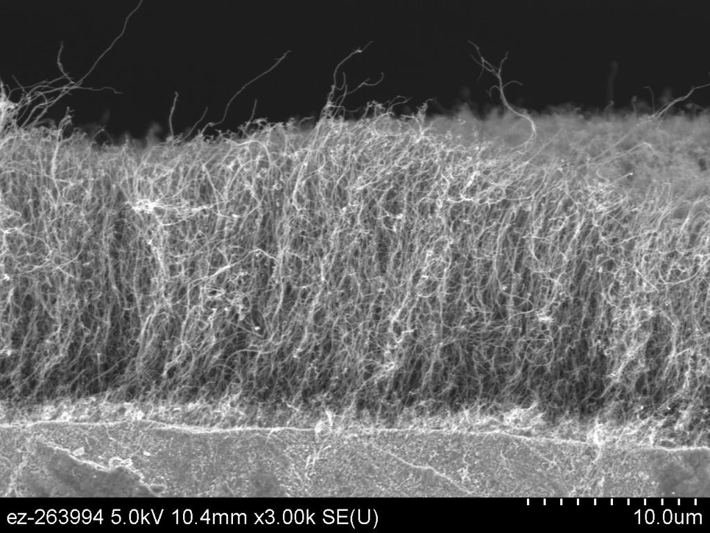 ORNL’s vertically aligned carbon nanotubes reduce friction to nearly zero to improve energy efficiency. Credit: Chanaka Kumara/ORNL, U.S. Dept. of Energy