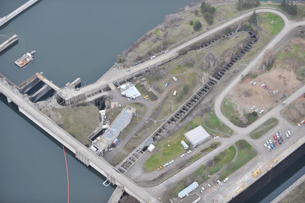 Birdseye view of Dalles North Fishway