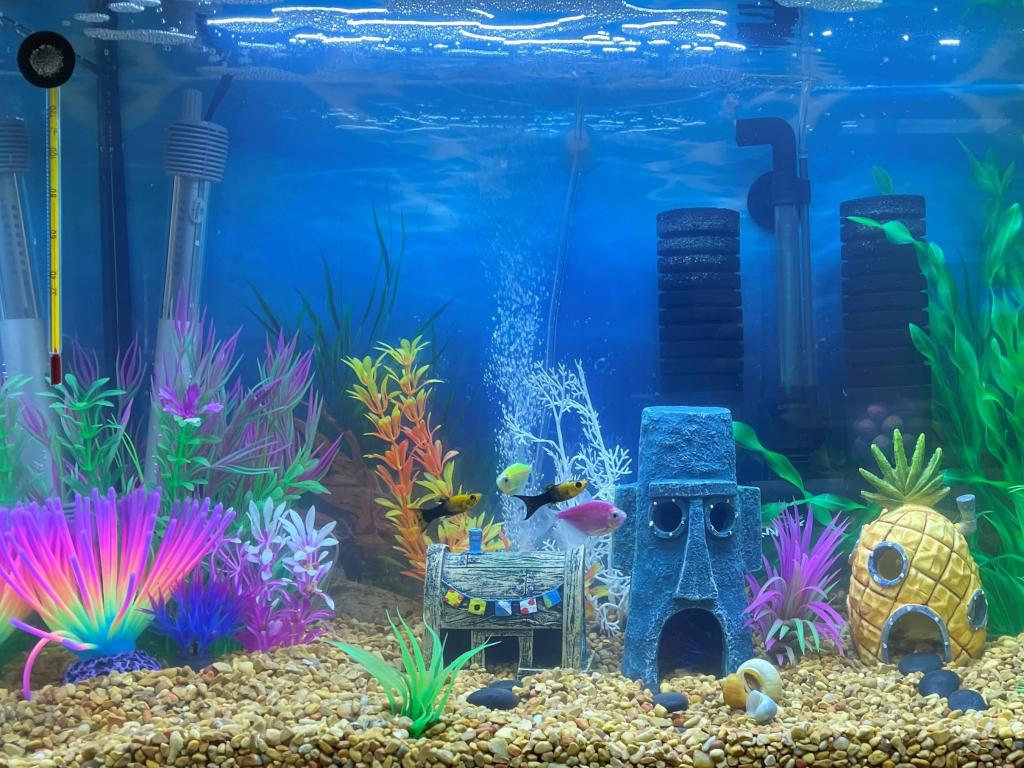 Fish tank