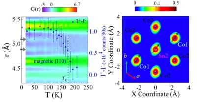 Hidden Local Symmetry Breaking for Understanding the Peculiar Magnetism in Co3Sn2S2