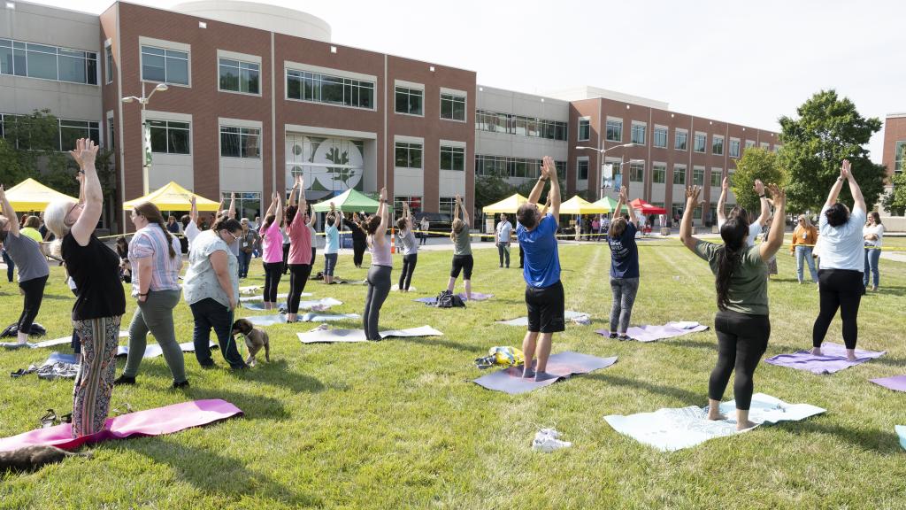 ORNL staff participate in Puppy Yoga fundraiser, a fun way for ORNL Gives to show support to the Humane Society of the Tennessee Valley. Credit: Kurt Weiss/ORNL, U.S. Dept. of Energy