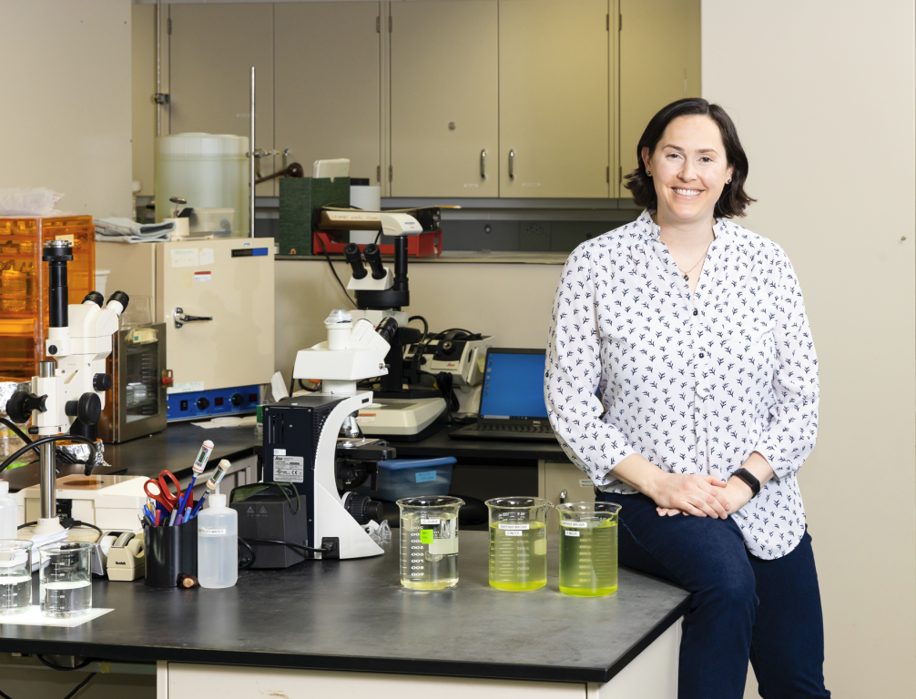 Louise Stevenson uses her expertise as an environmental toxicologist to evaluate the effects of stressors such as chemicals and other contaminants on aquatic systems. Credit: Carlos Jones/ORNL, U.S. Dept of Energy