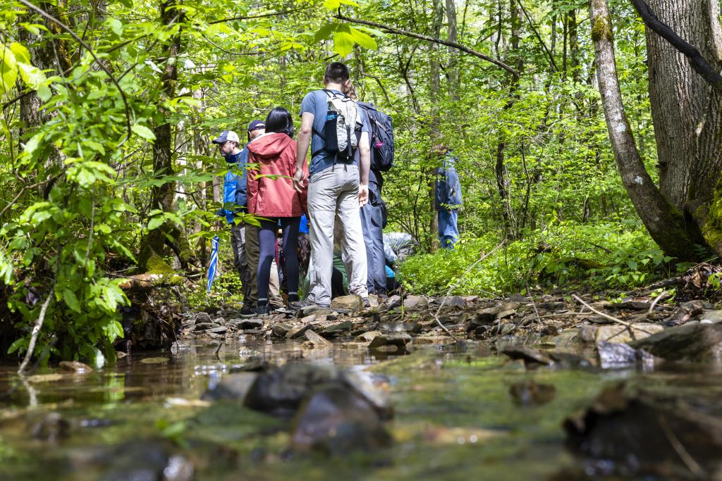 A group gathers during the spring Oak Ridge Reservation nature walk to explore the rich flora and fauna diversity of the reservation. Credit: Carlos Jones/ORNL, U.S. Dept. of Energy