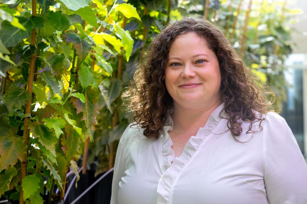 Alyssa Carrell is an ORNL ecologist studying how plant-microbe relationships can build resilience in natural ecosystems vulnerable to climate change. Credit: Genevieve Martin/ORNL, U.S. Dept. of Energy