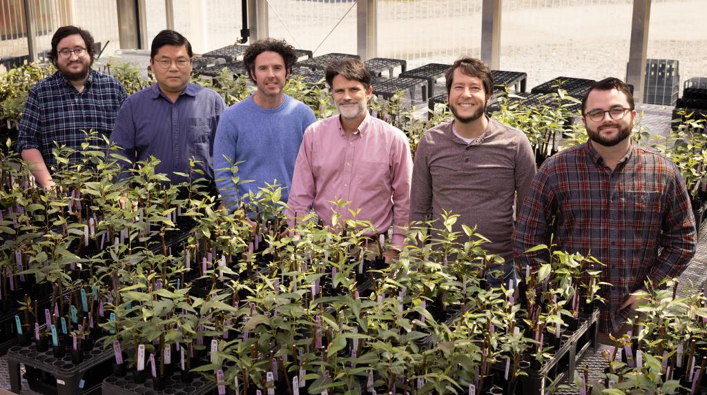 The collaboration between APPL and OLCF included staff from across ORNL: (from left) James “Jake” Wynne, Hong-Jun Yoon, Ryan Prout, Stanton Martin, Daniel Hop and Kellen Leland. Credit: Jeff Otto/ORNL, U.S. Dept. of Energy